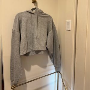 Alo Yoga Bae ‘cropped’ Hoodie